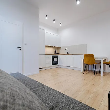 Piotrkowska Street Iii By Lookap Apartment